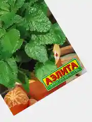 Мелисса Мандариновый аромат, вес 5,0 гр., семена (Аэлита)