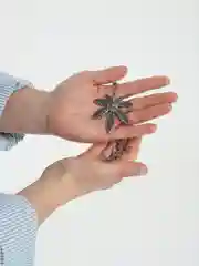 Алый цепочки с подвеской, 12 видов