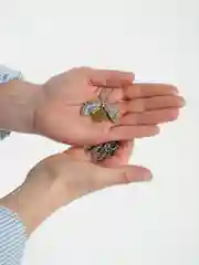 Белый цепочки с подвеской, 12 видов