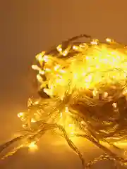 Гирлянда светодиодная LED, 50 м, 220в