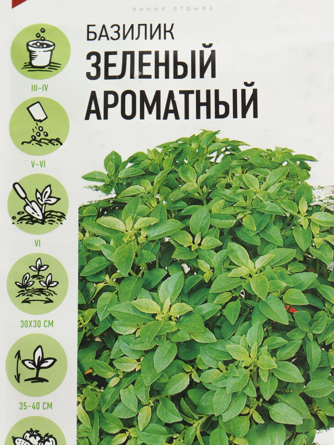 Семена Базилик (набор 2 уп) "Зеленый ароматный"