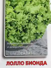 Семена Салат "Лолло Бионда"