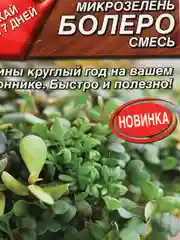 Семена Микрозелень смесь "Болеро"