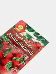 Семена Земляника (набор 2 уп) "Александрина"