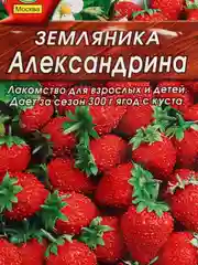 Семена Земляника (набор 2 уп) "Александрина"