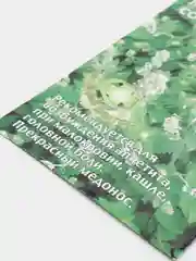 Семена Котовник лимонный "Сонник" набор 1, 3, 5 уп