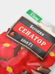 Семена Бегония вечноцветущая F1 "Сенатор" алая набор 1, 3, 5 уп