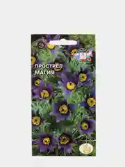 Семена Прострел "Магия" набор 1, 3, 5 уп