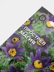Семена Прострел "Магия" набор 1, 3, 5 уп