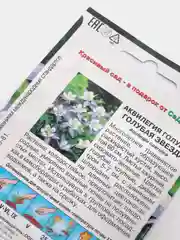 Семена Аквилегия "Голубая звезда" набор 1, 3, 5 уп