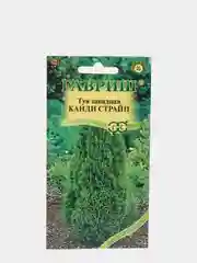 Семена Туя западная "Канди страйп" набор 1, 3, 5 уп
