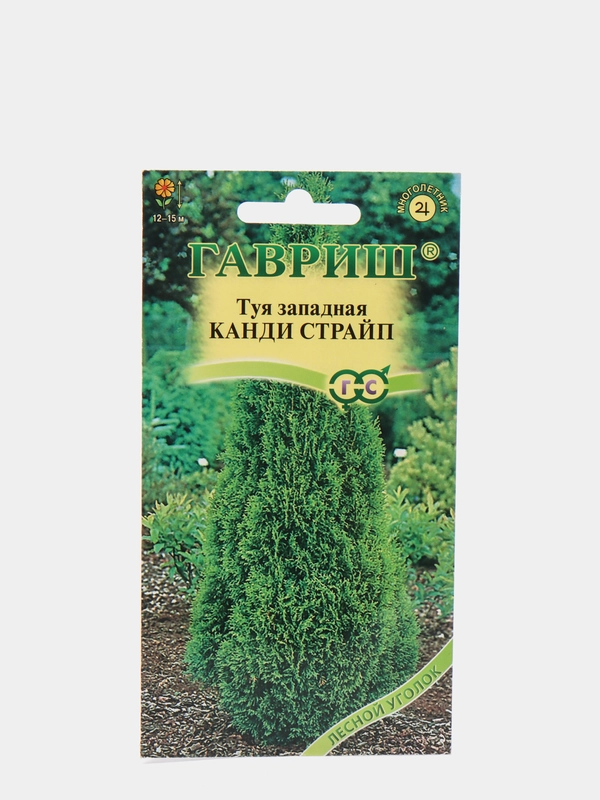 Семена Туя западная "Канди страйп" набор 1, 3, 5 уп