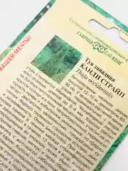 Семена Туя западная "Канди страйп" набор 1, 3, 5 уп
