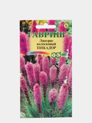 Семена Лиатрис колосковый "Пикадор"