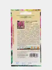 Семена Лиатрис колосковый "Пикадор"