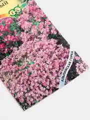 Семена Арабис (набор 2 уп) альпийский розовый