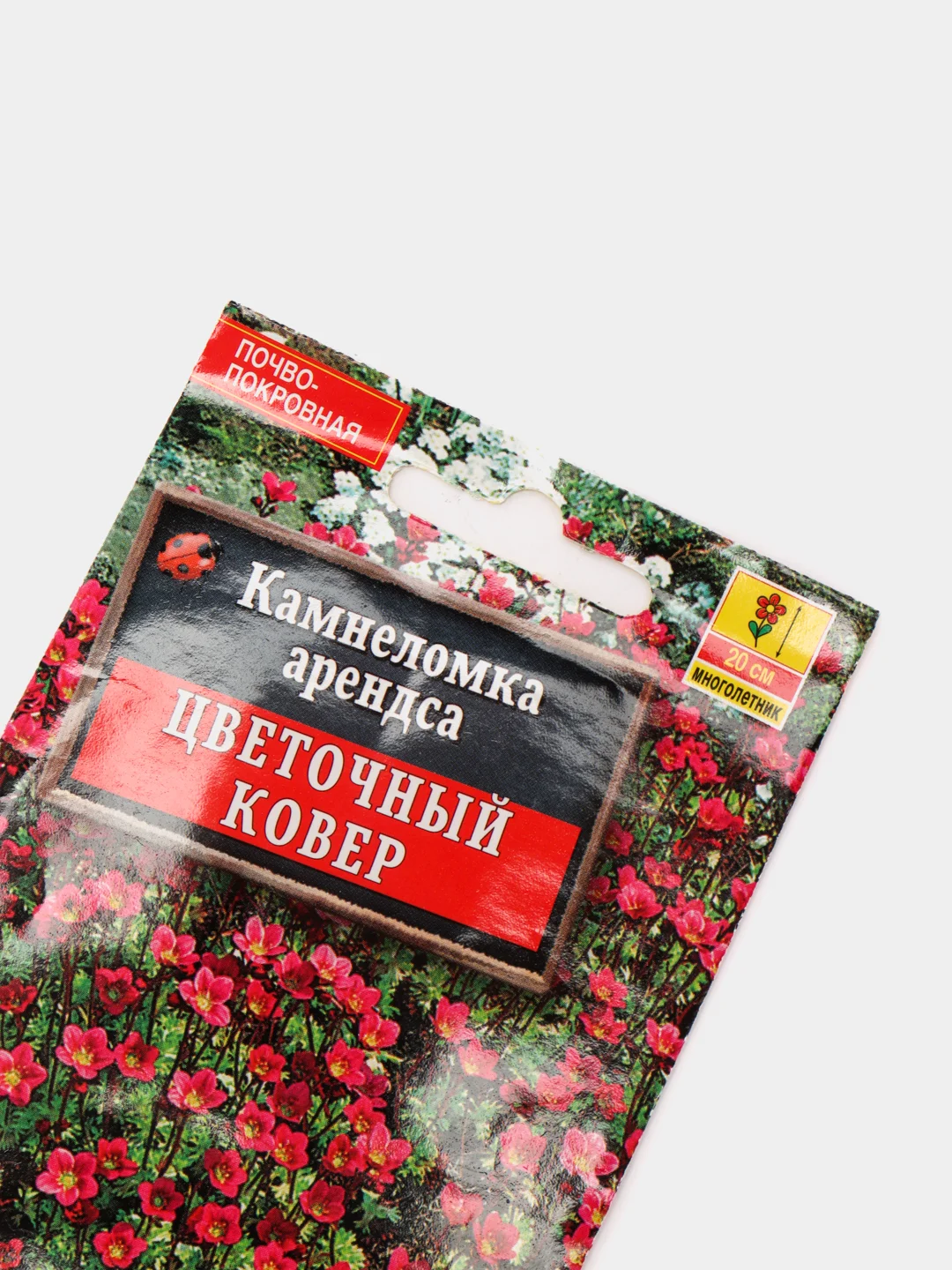 Семена Камнеломка  Цветочный ковер