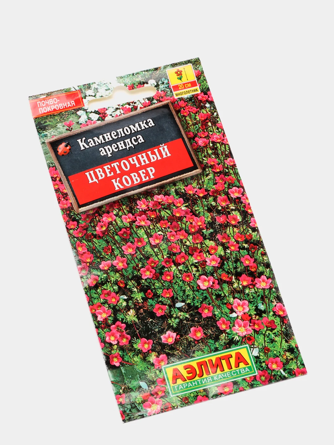Семена Камнеломка  Цветочный ковер
