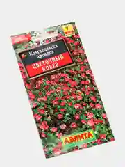 Семена Камнеломка  Цветочный ковер