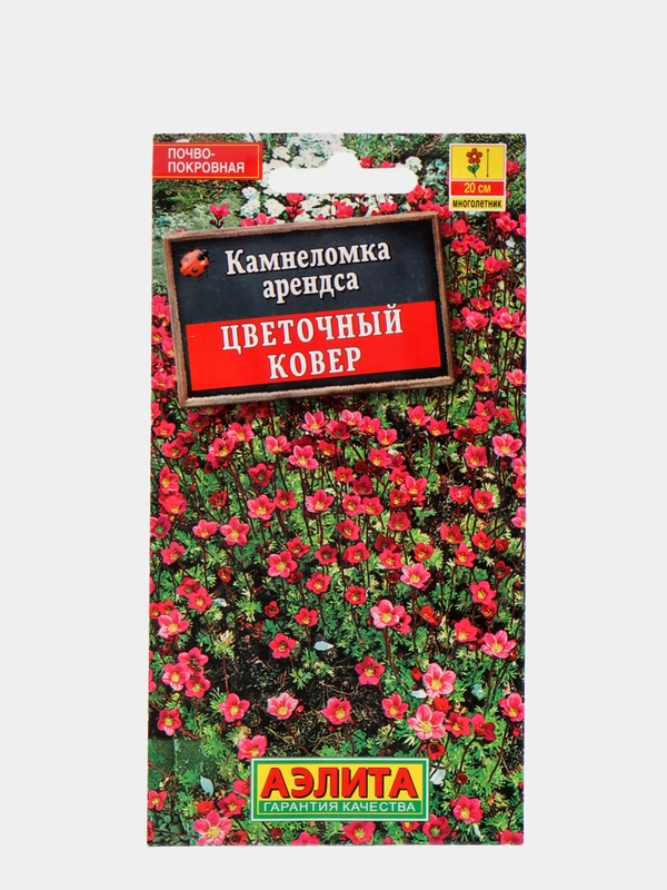 Семена Камнеломка  Цветочный ковер