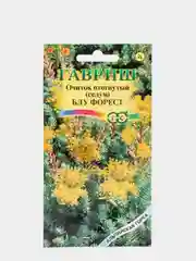Семена Очиток "Блу форест"