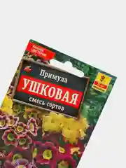 Семена Примула Ушковая смесь сортов