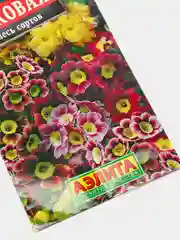 Семена Примула Ушковая смесь сортов