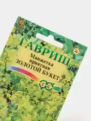 Семена Манжетка (набор 2 уп) "Золотой букет"