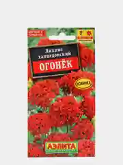 Семена Лихнис халцедонский "Огонёк"