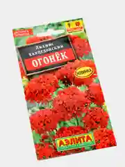 Семена Лихнис халцедонский "Огонёк"