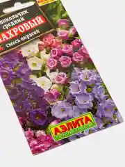 Семена Колокольчик (набор 2 уп) "Махровый" смесь окрасок
