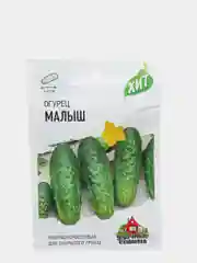 Семена Огурец "Малыш", ультраскороспелый, пчелоопыляемый, 0,5 г