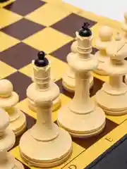 Шахматы, шашки "Русские игры"