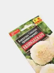 Бархатцы Килиманджаро (семена,цветы)