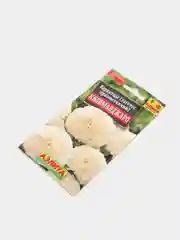 Бархатцы Килиманджаро (семена,цветы)