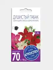 Душистый табак "Сенсация", семена, цветы