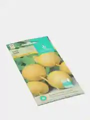 Семена Репа "Луна"