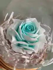 Бирюзовый мыло "Роза", в куполе