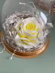 Желтый мыло "Роза", в куполе