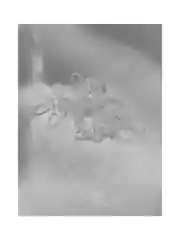 Тюль вуаль белая разной высоты/на шторной ленте/с крючками/Тюль для гостинной