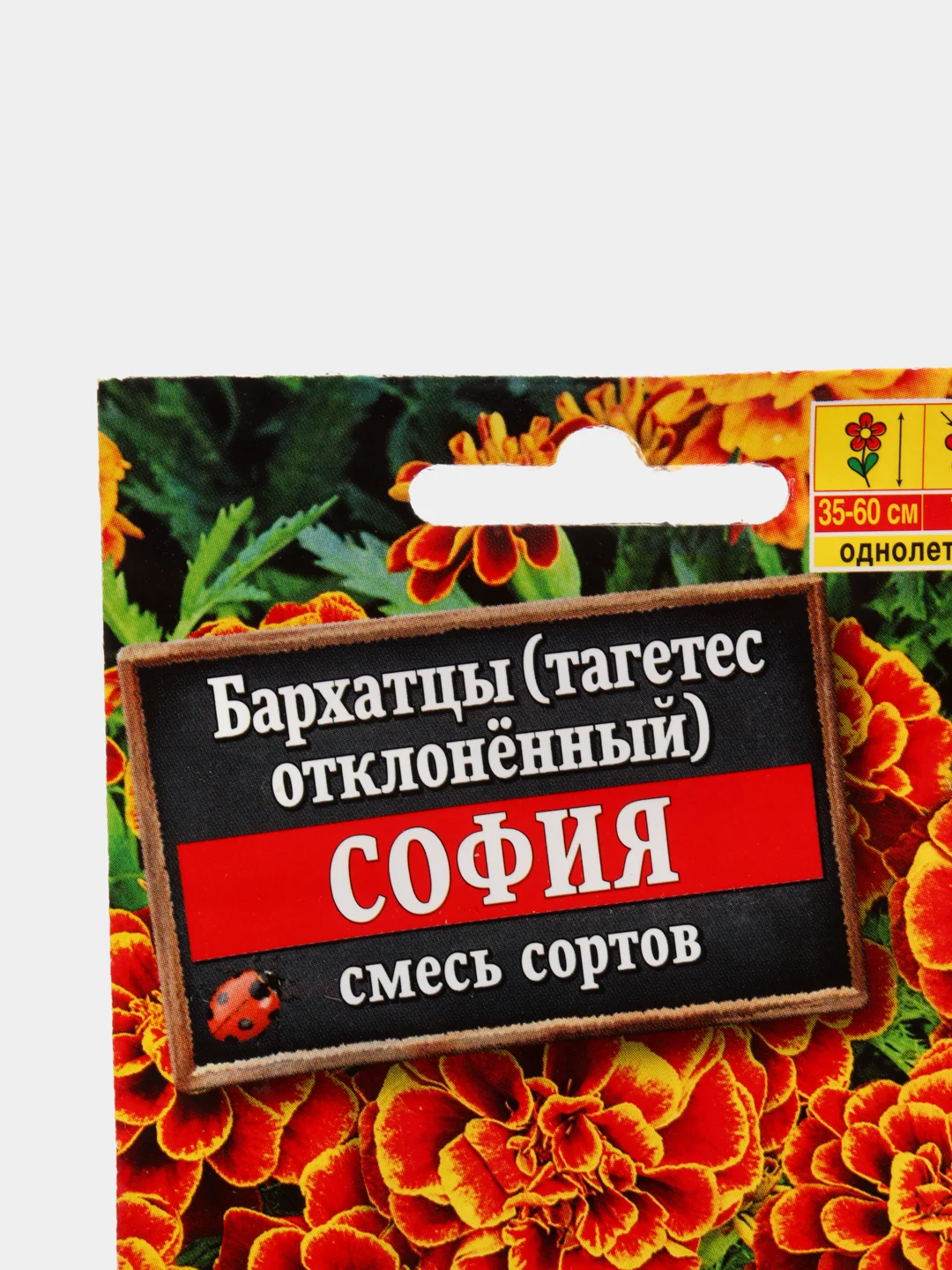 Бархатцы София (семена,цветы)