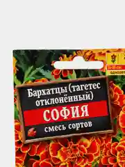 Бархатцы София (семена,цветы)