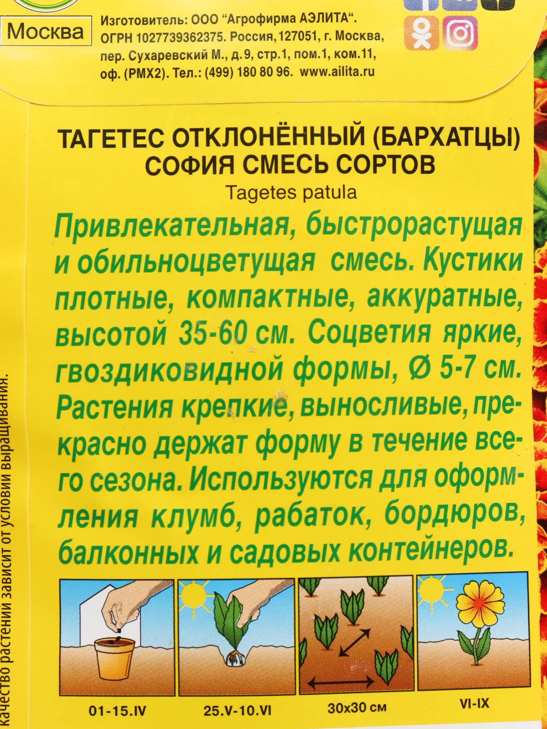 Бархатцы София (семена,цветы)