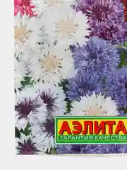 Василек "Махровый шар" (семена, цветы)