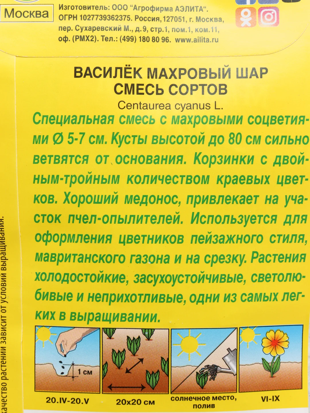 Василек "Махровый шар" (семена, цветы)