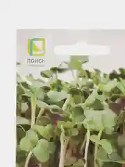 Семена Микрозелень, на выбор