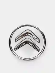 Серебряный колпачки-заглушки на литые диски Citroen (Ситроен) С3 / С4 / С5, 4 штуки