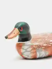 Зеленый уточки