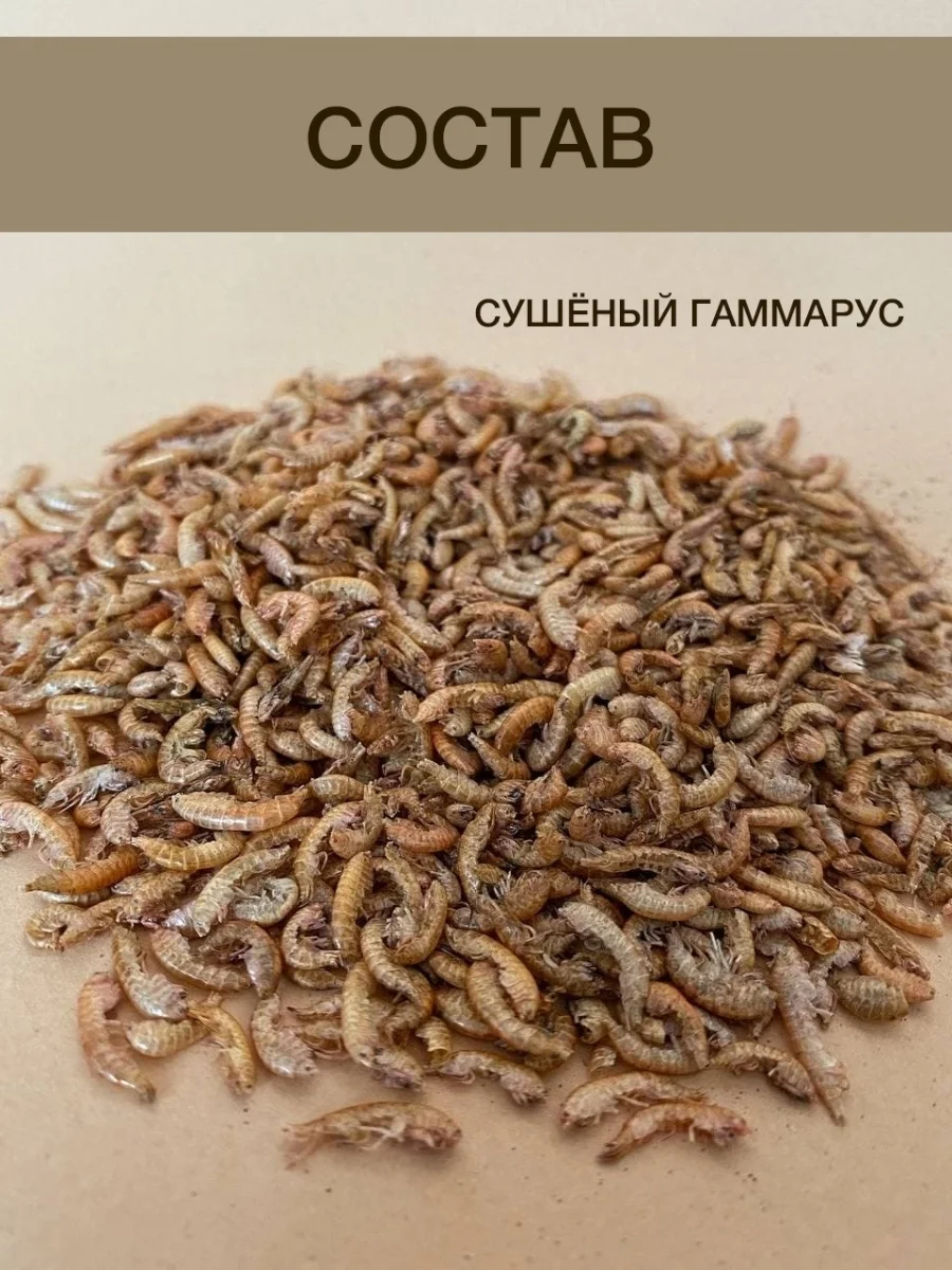 Корм для муравьев Messor Structor, зерновой