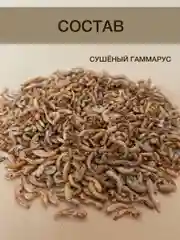 Корм для муравьев Messor Structor, зерновой